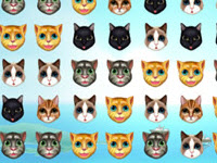 play Kitty Matching