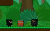 play Hidden Valley Ninja