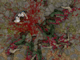play Decision Medieval