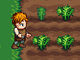 play Idle Farmer