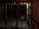play Killer Escape