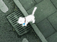 play Time4Morecat
