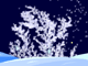 play Snow Tree