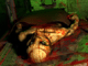 play Being One: Bloodbath