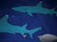play Ocean Explorer