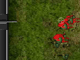 play Armed Invasion