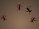 play Ant Arena