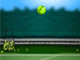 play Tennis Ball Keepy Up
