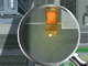 play Ant City
