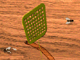 play Fly Swatter