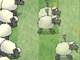 play Sheep Dash