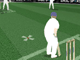 play Cricket Challenge