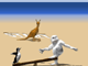 play Albatros Overload