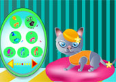 play Little Sweet Cat