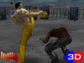 play Kickboxing