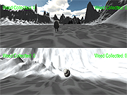 play Race For The Weed