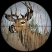 play Deer Hunter 2014 Online