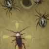 play Insectonator