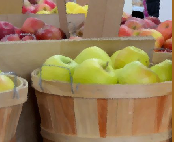 play Favorite Escape 3