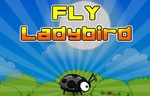 play Fly Ladybird