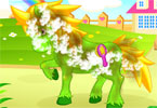 play Pony Care 2