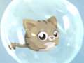 play Kitten Can Fly