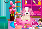 play Fabulous Dream Gift