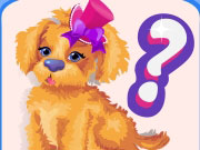 play Wiz Dog Quiz