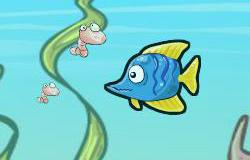 play Fish Race Champions 2