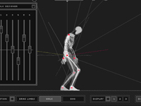 play Wireframe Skeleton