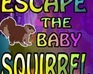 play Escape The Baby Squirrel