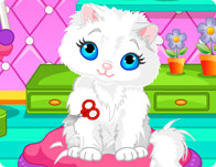 play Taking Bath For Your Cat