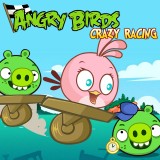 play Angry Birds Crazy Racing