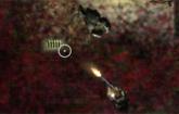 play Deadfrontier - Night One