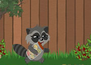 play Raccoon'S Adventure