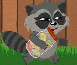 play Raccoon'S Adventure