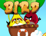 play Angry Birds Rock Bird