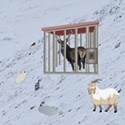 play Wow Escape The Reindeer