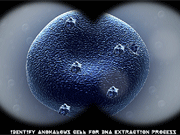 play Killer Escape 3