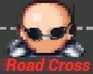 play Tactical Road Cross