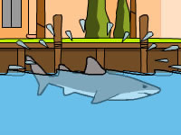 play  Miami Shark