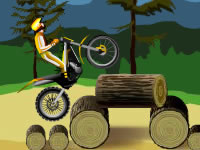 play  Stunt Dirt Bike
