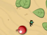 play Fwg Evolution