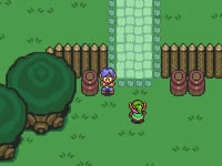 play Zelda : Valentine'S Quest