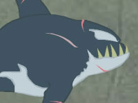 play Killer Whale