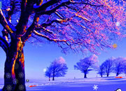 play Snow Escaping