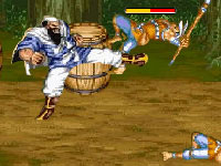 play Street Fighter 2