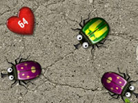 play  Bugs In Love