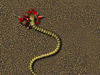 play Snake 3000