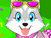 play Husky Puppy Dressup Kissing